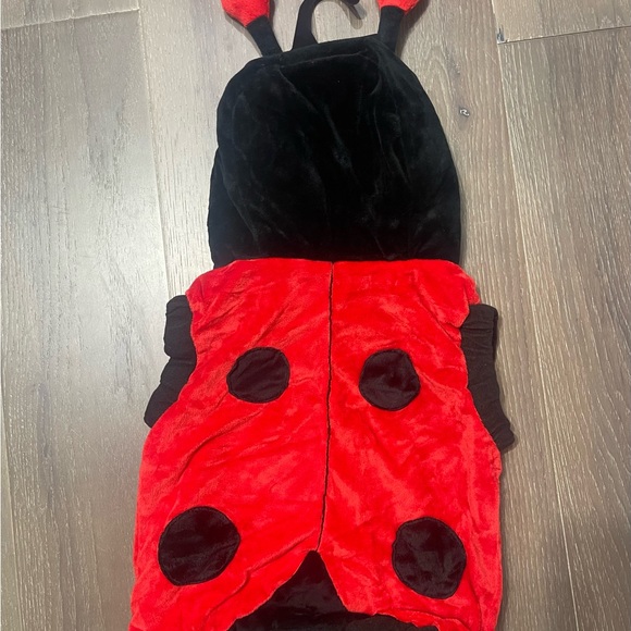 Totally ghoul ladybug child costume. NWT small 2-4 - Picture 3 of 3